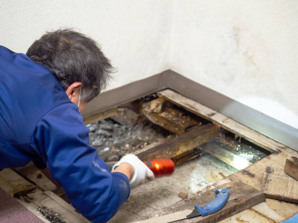 Best Residential Mold Inspection & Testing  in Greenwood, IN